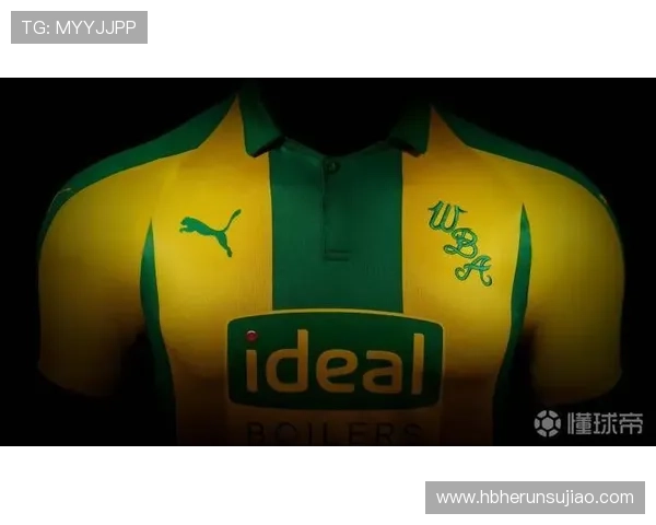 深度解读西布罗姆维奇俱乐部的历史文化与未来发展方向 深度解读西布罗姆维奇俱乐部的历史文化与未来发展方向